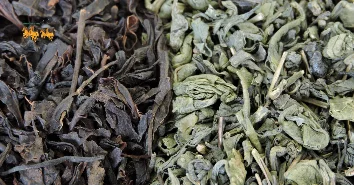 Nên Chọn Loại Trà Nào Để Hỗ Trợ Sức Khỏe Cho Người Tiểu Đường?