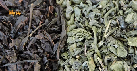 Nên Chọn Loại Trà Nào Để Hỗ Trợ Sức Khỏe Cho Người Tiểu Đường?
