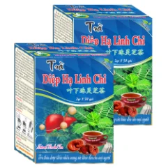 Ảnh sản phẩm Trà Diệp Hạ Linh Chi 1